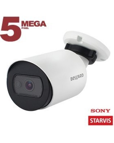 SV3210RC (6 мм). Видеокамера IP цилиндрическая. Beward в Саранске