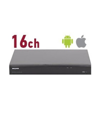RK2216. Видеорегистратор IP 16-канальный. Beward в Саранске