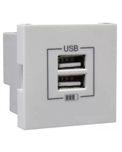 Розетка USB двойная, зарядная, белая (45439 SBR): Розетка USB двойная в Саранске
