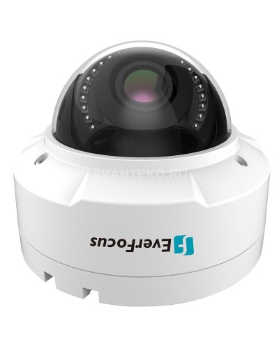 EHN-1250. Видеокамера IP купольная. EverFocus в Саранске
