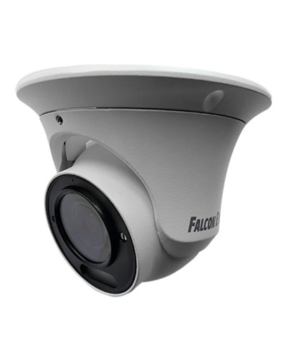 FE-IPC-DV2-40pa. Видеокамера IP купольная. Falcon EYE в Саранске