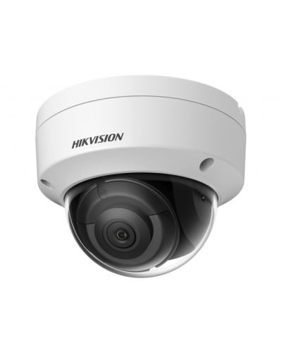 DS-2CD2123G2-IS(4мм)(D). Профессиональная видеокамера IP купольная. Hikvision в Саранске