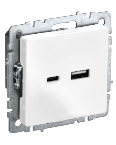 Розетка USB A+C 18Вт РЮ11-1-БрБ белый BRITE (BR-U22-018-K01). Розетка USB. IEK в Саранске