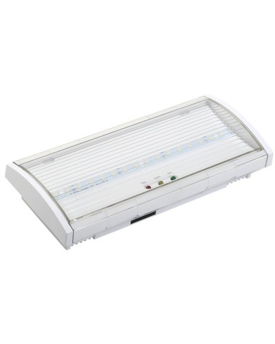 Светильник аварийный ДПА 5040-3 3ч IP54 LIGHTING (LDPA0-5040-3H-K01). Светильник аварийный постоянного действия. IEK в Саранске