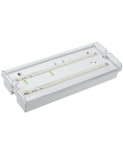 Светильник аварийный ДПА 5042-1 1ч IP65 LIGHTING (LDPA0-5042-1-65-K01). Светильник аварийный универсальный. IEK в Саранске