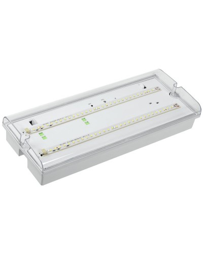 Светильник аварийный ДПА 5042-3 3ч IP65 LIGHTING (LDPA0-5042-3-65-K01). Светильник аварийный универсальный. IEK в Саранске