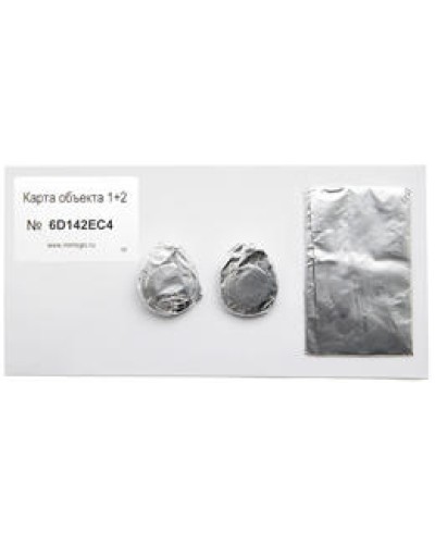 Карта объекта 1+2. Проксимити карта. IronLogic в Саранске