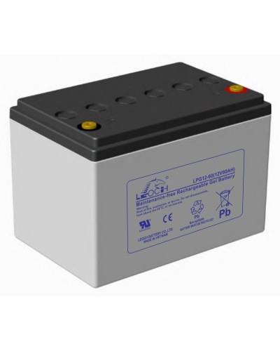 LEOCH LPG 12-60. Аккумулятор герметичный свинцово-кислотный. LEOCH в Саранске