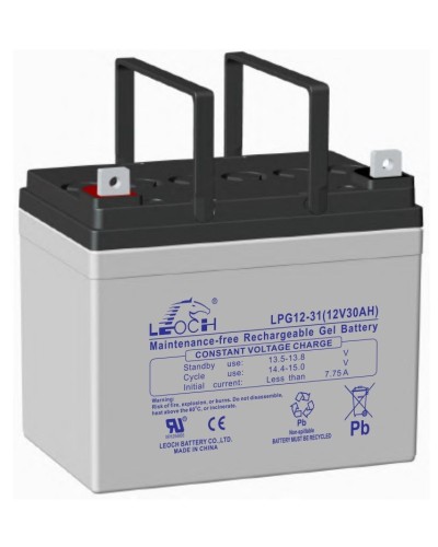 LEOCH LPG 12-31. Аккумулятор герметичный свинцово-кислотный. LEOCH в Саранске
