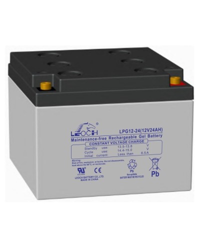 LEOCH LPG 12-24. Аккумулятор герметичный свинцово-кислотный. LEOCH в Саранске