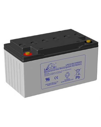 LEOCH LPG 12-65. Аккумулятор герметичный свинцово-кислотный. LEOCH в Саранске