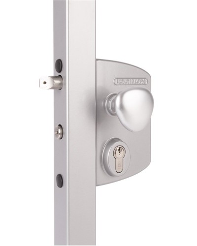 LIKQ4040 U2L (цвет: RAL 9005, черный). Замок электромеханический для калиток. Locinox в Саранске