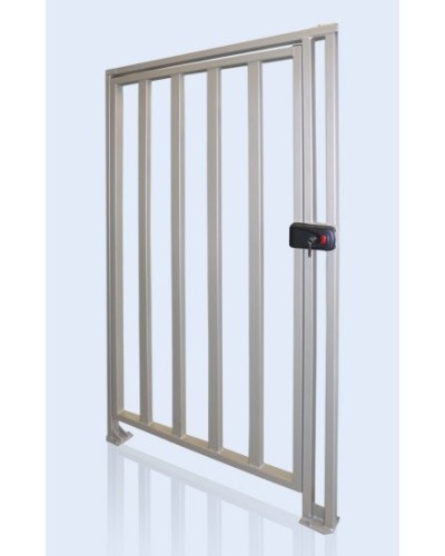 PERCo-WHD-15. Калитка. PERCo в Саранске