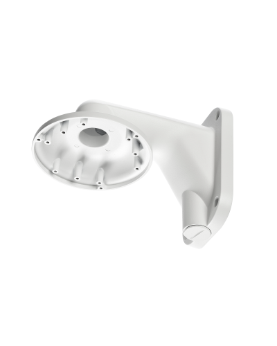 RVi-1BWM-5 white. Кронштейн настенный. RVi в Саранске