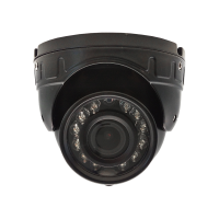 ST-S2501 POE (2.8) (черный). Видеокамера IP купольная. Space Technology