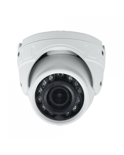 ST-S4501 (2.8) (белый). Профессиональная видеокамера IP купольная. Space Technology в Саранске