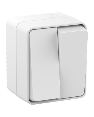 AtlasDesign PROFI54 выключатель 2-клавишный, открытой установки, белый (ATN540151). Выключатель. Systeme Electric в Саранске