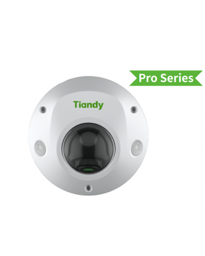 TC-C32PS I3/E/Y/M/H/2.8/V4.2. Видеокамера IP купольная. Tiandy в Саранске