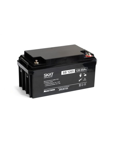 SKAT SB 1265 (2541). Аккумулятор герметичный свинцово-кислотный. Бастион в Саранске