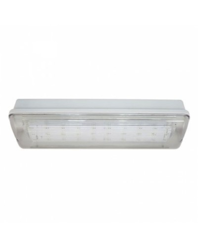 SL-213-30LED1.8 исп. 1 IP65. Светильник аварийного освещения. ИП Раченков А.В. в Саранске