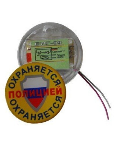 БИГ-09 н.р.. Индикатор прибытия наряда. ПЭАП (Альфатех-Центр) в Саранске