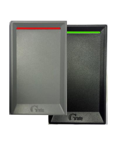 Gate-Reader-Multi-Plus. Считыватель. Равелин в Саранске