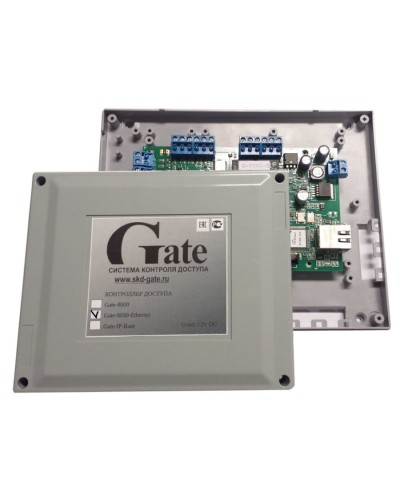 Gate-8000 Ethernet. Сетевой контроллер. Равелин в Саранске