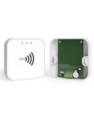 RFID-TM. Считыватель RFID. Ритм в Саранске