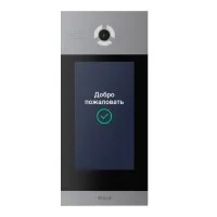 AA-14FBIS SILVER. Вызывная панель IP-домофона. BAS-IP