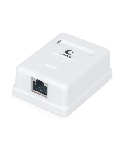 WS-8P8C-Cat.5e-SH-1 (7485c): Розетка RJ-45 в Саранске