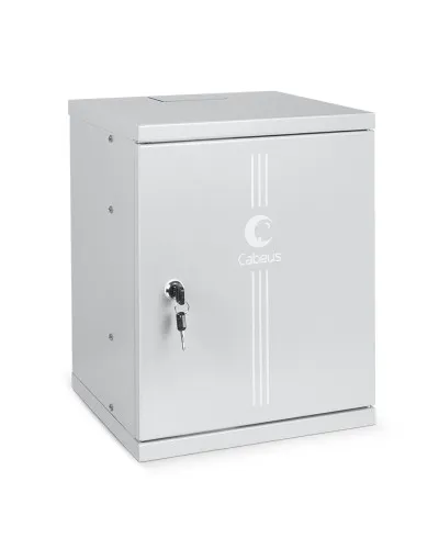 WSC-8Um (7790c). Шкаф телекоммуникационный 10 настенный, 8U. CABEUS в Саранске