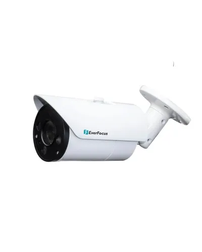 EZN-268V. Видеокамера IP купольная. EverFocus в Саранске