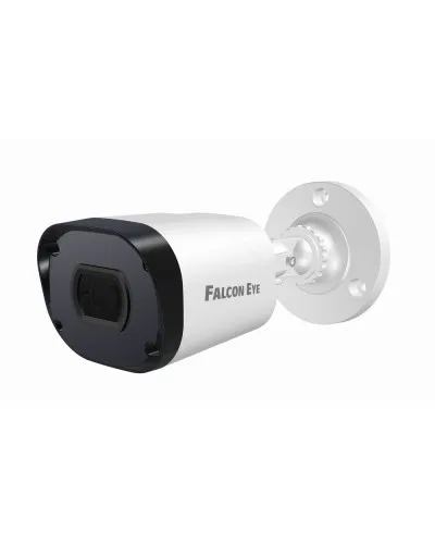 FE-IPC-BP2e-30p. Видеокамера IP цилиндрическая. Falcon EYE в Саранске