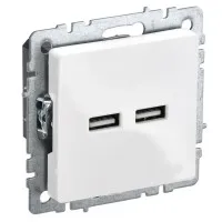 Розетка USB A+A 3,1А РЮ10-1-БрБ белый BRITE (BR-U21-D31-K01). Розетка USB. IEK