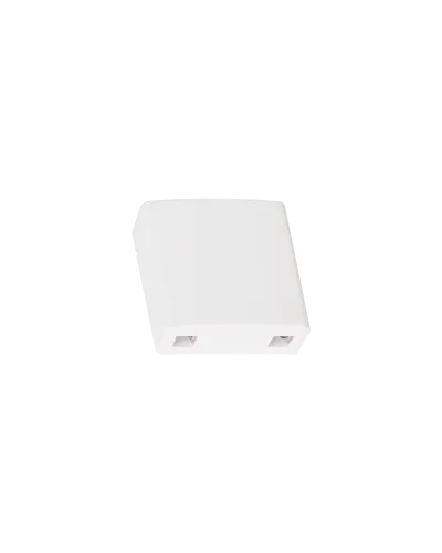 NMF-WO2-BLANK-CS-WT. Корпус настенной розетки. NIKOMAX в Саранске