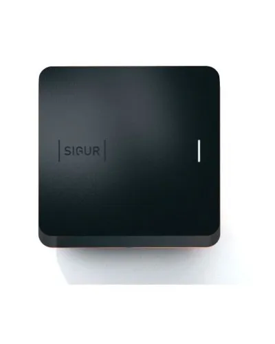 Sigur MR100 Multi. Считыватель. SIGUR в Саранске