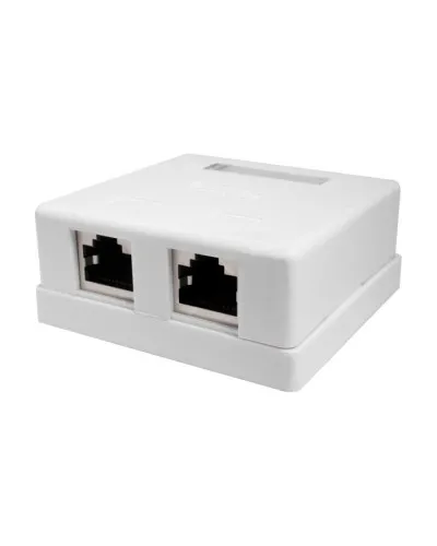 Розетка настенная RJ-45, 8P8C, Cat.5e, 2 порта, FTP (10-0308). Компьютерная розетка. SUPRLAN в Саранске
