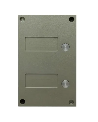 BS-424-2. Кнопочная панель. VIZIT в Саранске