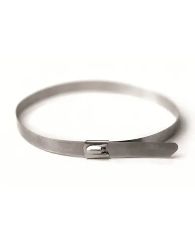 Хомут из нержавеющей стали AISI 316 8х350 (30 шт) (27613): Хомут из нержавеющей стали в Саранске