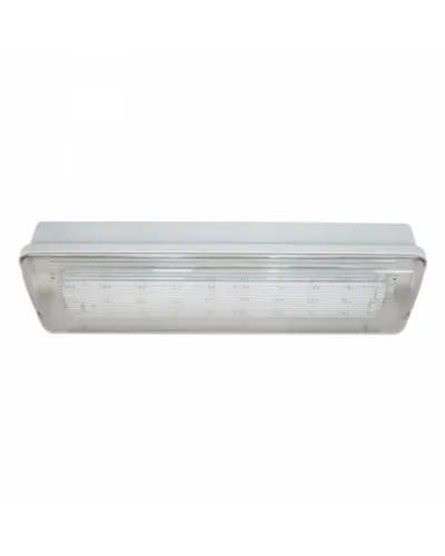 SL-223-30LED1.8 исп.1 IP54. Светильник аварийного освещения. ИП Раченков А.В. в Саранске