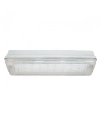 SL-223-30LED1.8 исп. 1, IP65. Светильник аварийного освещения. ИП Раченков А.В. в Саранске