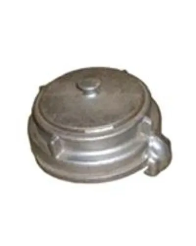 ГЗВ-100: Заглушка в Саранске