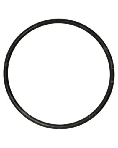 Кольцо резиновое уплотнительное для двустенной трубы D200 (PR08.3646). Кольцо резиновое уплотнительное для двустенной трубы. Промрукав в Саранске