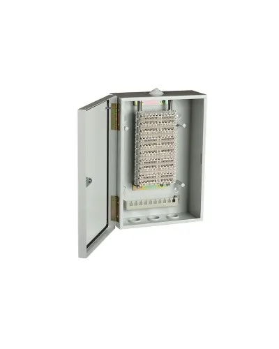 ШРН-В/100-Р (120908-00122). Шкаф ШРН-В/100-Р, плинт ПВТ-10Р-5е. ССД (Связьстройдеталь) в Саранске